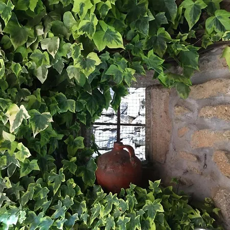 El Capricho De Ana