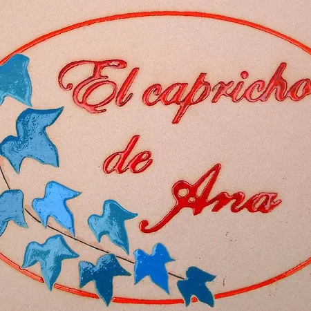 El Capricho De Ana Neila de San Miguel